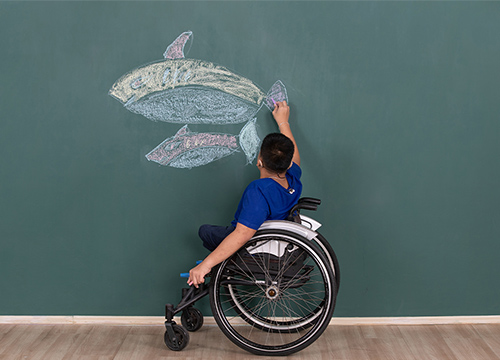 24 marzo: webinar sulla nuova legge sulla disabilità
